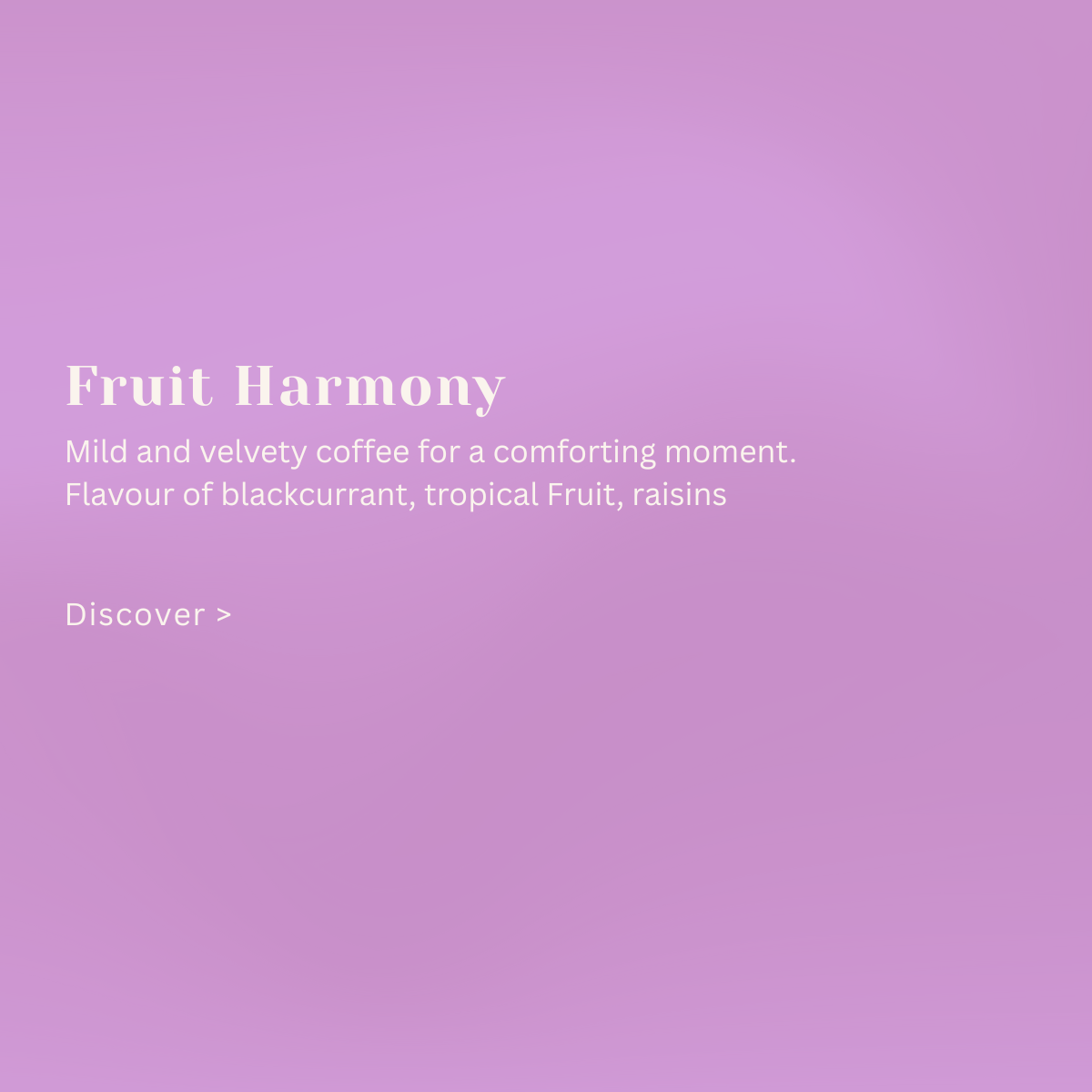 Honduras Finca Gosen