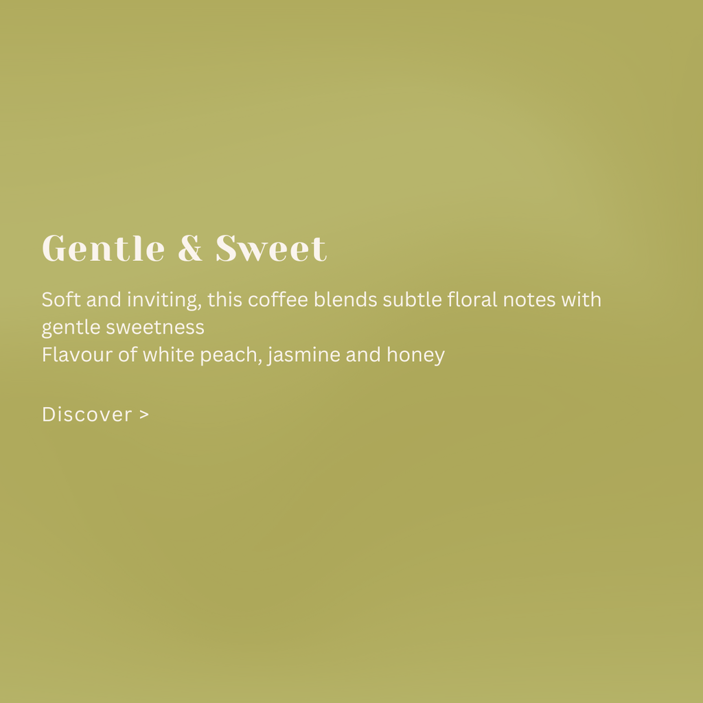 Ethiopia Hafursa Haru