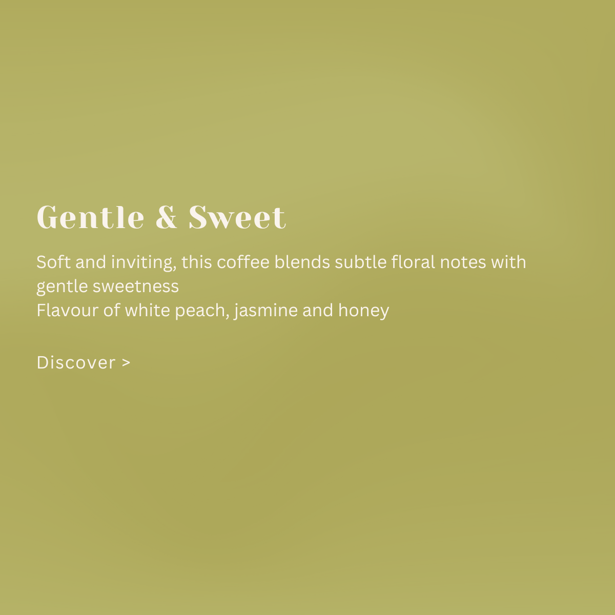 Ethiopia Hafursa Haru