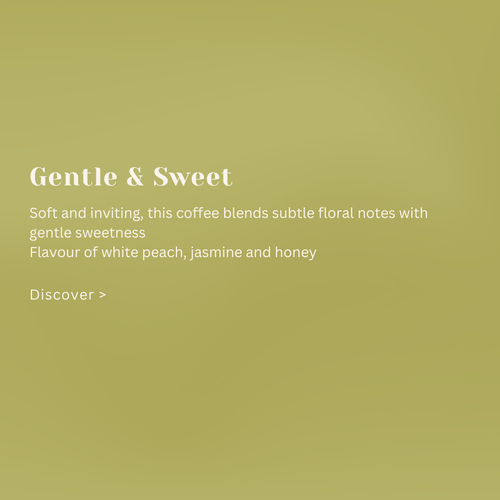 Ethiopia Hafursa Haru